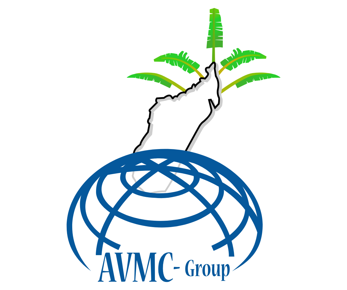 logo avmc group
